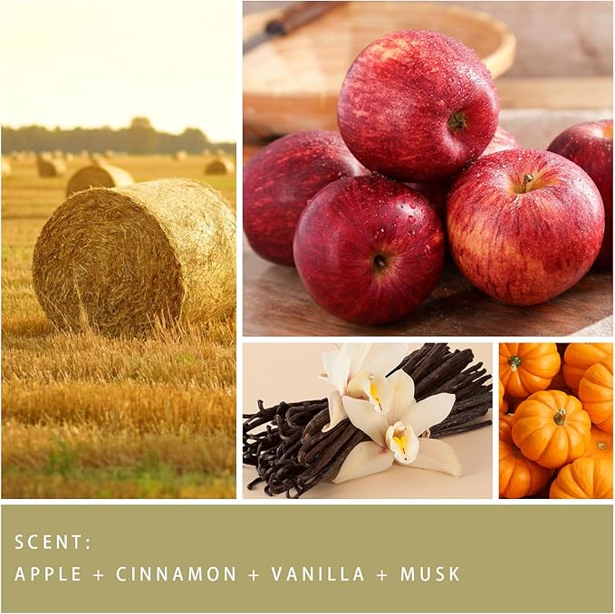 Fall Candle - Harvest Season Scented Candle, Fall Soy Candles for Home Decor, 7 oz Natural Soy Wax โ Long-Lasting Autumn Candles, Aromatherapy Gift for Women & Thanksgiving, 7oz