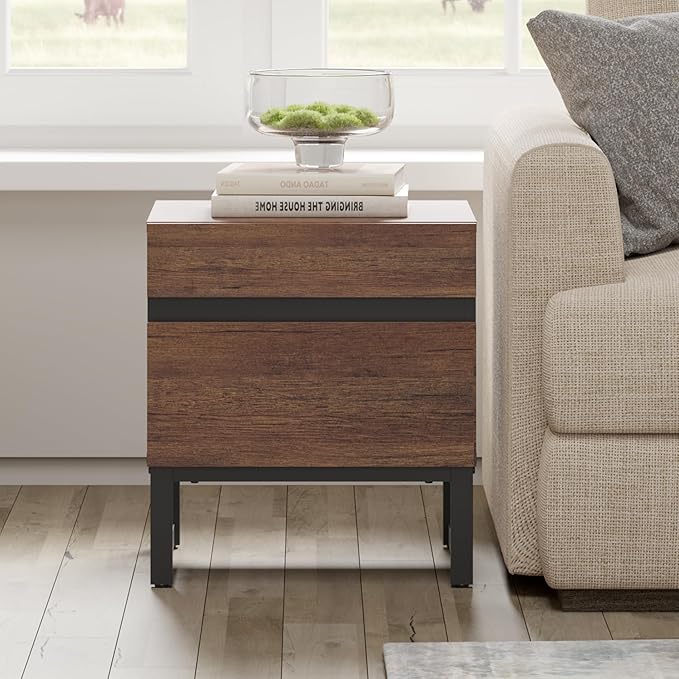 WAMPAT 2 Piece Modern End Table with 2 Drawers, Farmhouse Sofa Table, Wooden Rustic Side Sofa Table with Metal Leg for Living Room, Nighstand for Bedroom, Brown