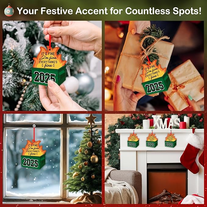 PETCEE Dumpster Fire Funny Christmas Ornaments 2025 - Hilarious Funny Acrylic Christmas Decor Unique Inappropriate Gifts for Adults Family Friends Coworkers Novelty 2025 Christmas Ornaments