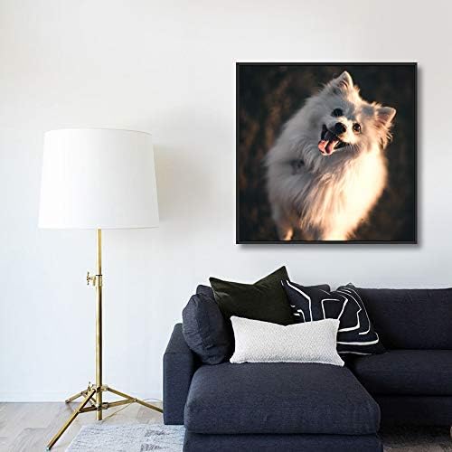 NWT Custom Framed Canvas Prints with Your Photo for Pets, Personalized Canvas Wall Art for Living Room, Bedroom - 24x24 inches
