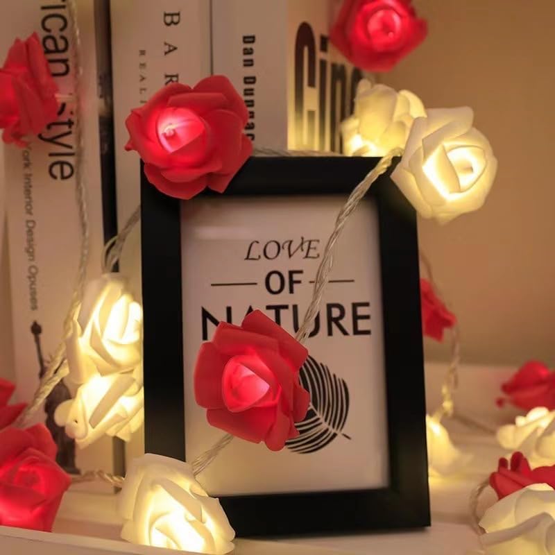 Everlasting Splashes LED Rose Flower Fairy String Lights Battery Operated Warm Flashing Light Romantic Proposal Wedding Birthday Christmas Thanksgiving DIY Indoor Outdoor Decorations (Red&Soft White)