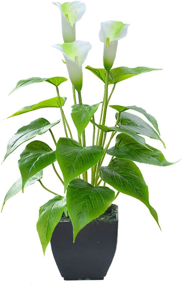 Beebel Artificial Flower Calla Lily Faux Small Potted Plant with Black Pot Fake Bonsai Flower for Home, Office, Indoor and Outdoor Occasions Decor (White Fake Flower)
