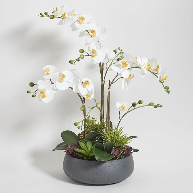 CG Hunter Faux Orchid Plant w/Succulents, Premium Artificial Indoor Flower Display Stands 23” w/Beautiful Sculptural Blooms and Succulents That Lasts Forever, Grey Planter Pot Included