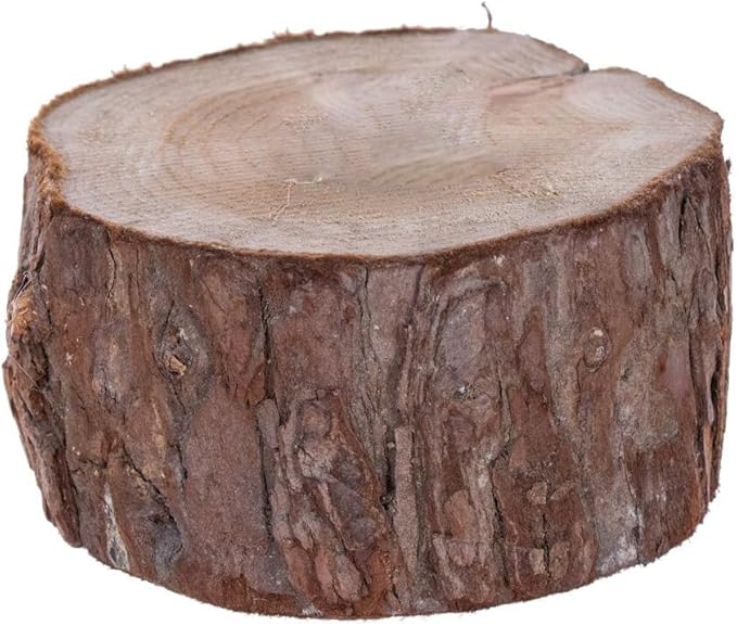 Vickerman 32" Mini Pine Artificial Christmas Tree Unlit, Seasonal Indoor Home Decor with Decorative Wood Base