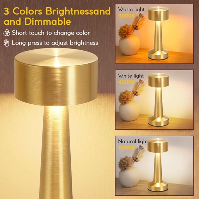 Portable LED Table Lamp, 3-Levels Brightness Metal Desk Lamp,3 Color Touch Control Rechargeable Lamp, Ideal Bedside Lamp for Nightstand,Bedroom, Living Room (Light Gold)