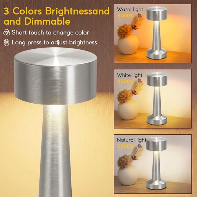 Portable LED Table Lamp, 3-Levels Brightness Metal Desk Lamp,3 Color Touch Control Rechargeable lamp, Ideal Bedside Lamp for Nightstand,Bedroom, Living Room (Silver)