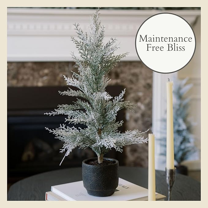 CG Hunter Holiday Collection, Set-of-2 Faux Flocked Cedar Trees, Premium Artificial Indoor & Outdoor Cedar Tree Stands 24" Tall in Pot–Perfect Christmas Decoration