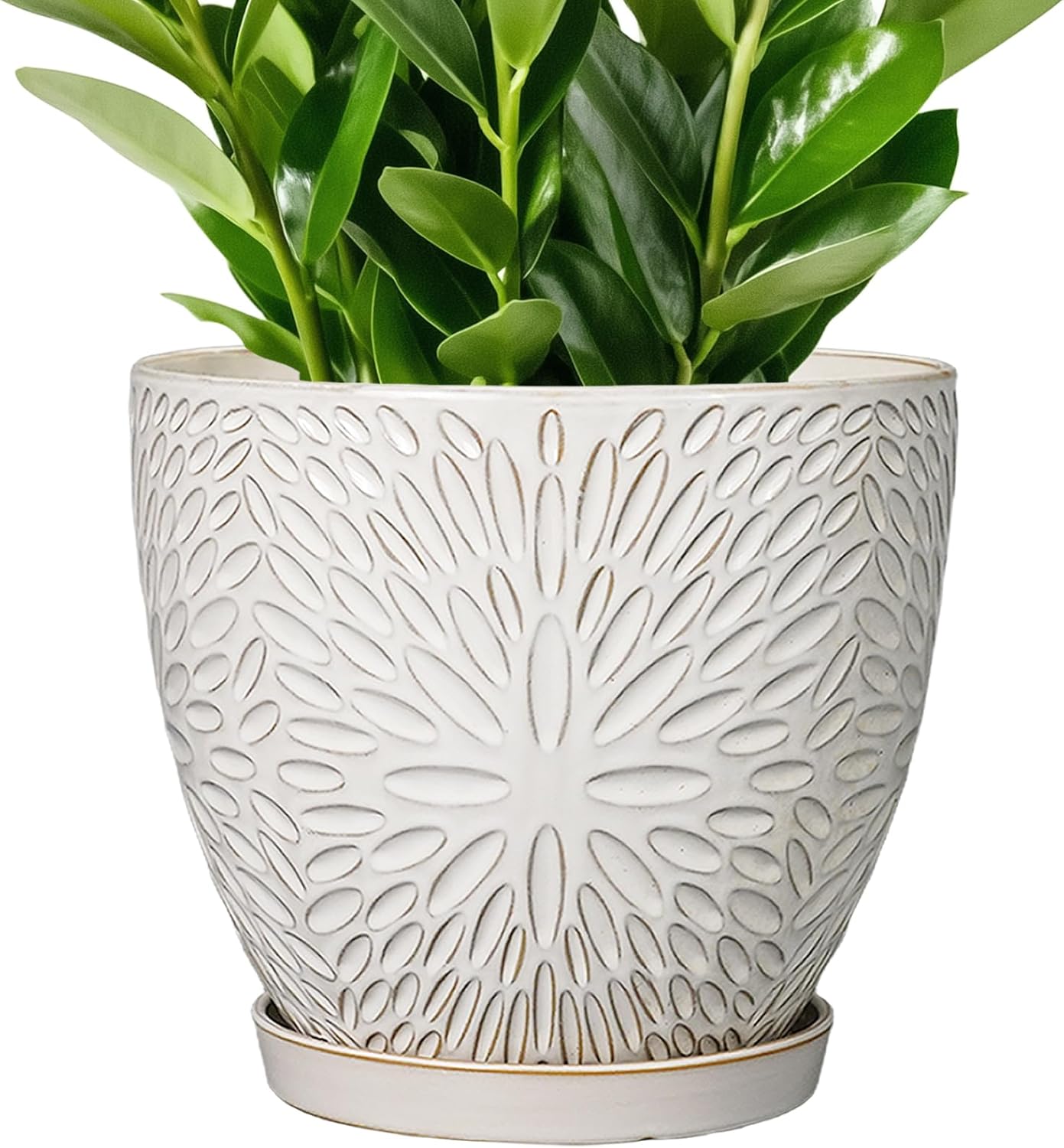 G EPGardening 10 Inch Ceramic Planter Pot with Drainage Hole and Saucer Large Plant Pot for Indoor Plants Outdoor Round Flower Pot for Home Garden Office White