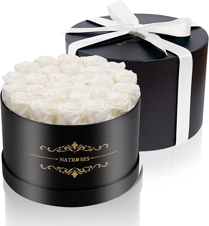 NATROSES 27 Piece Forever Preserved Roses in a Box, Preserved Flowers for Delivery Birthday, Flowers Roses Gifts for Her (White)