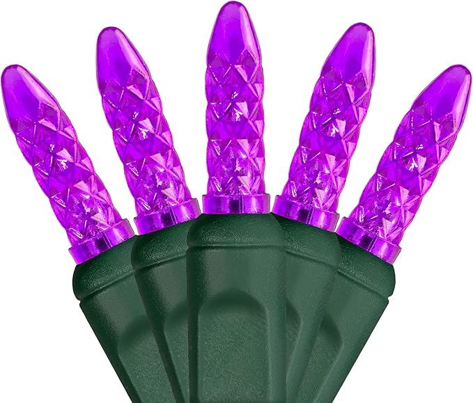 24 ft M5 LED Purple Halloween Lights, 70 Count Green Wire Indoor/Outdoor Commercial Grade Mini String, Holiday Decorations