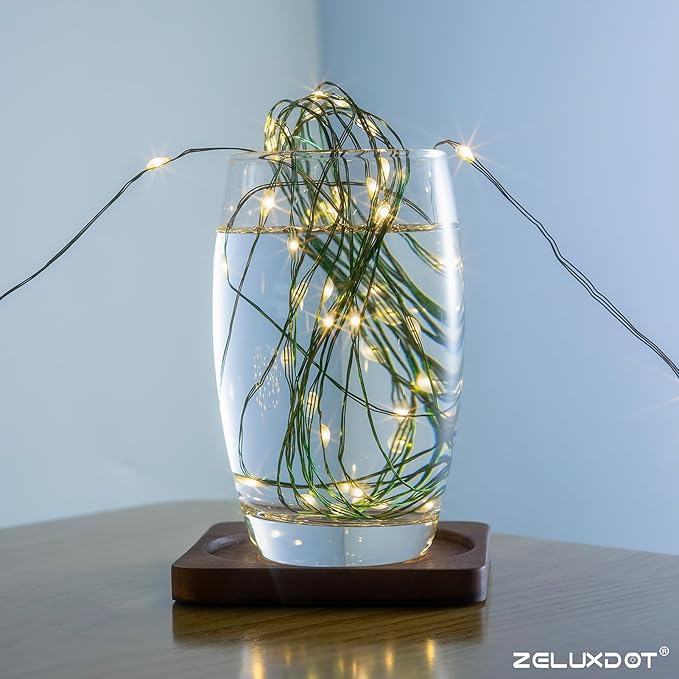Fairy Lights Plug in,100FT 300LEDs Waterproof Led String Lights,8 Modes Remote Twinkle Light for Outdoor Indoor Christmas Wedding Birthday Garden Party Decorations,Green Wire,Warm White