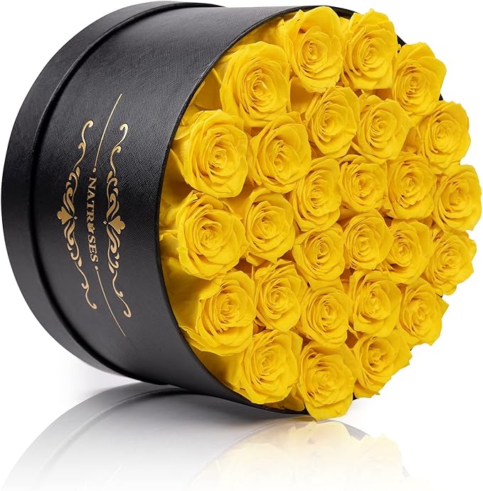 NATROSES 27 Piece Forever Preserved Roses in a Box, Preserved Flowers for Delivery Birthday, Flowers Gifts for Mothers Day, Yellow