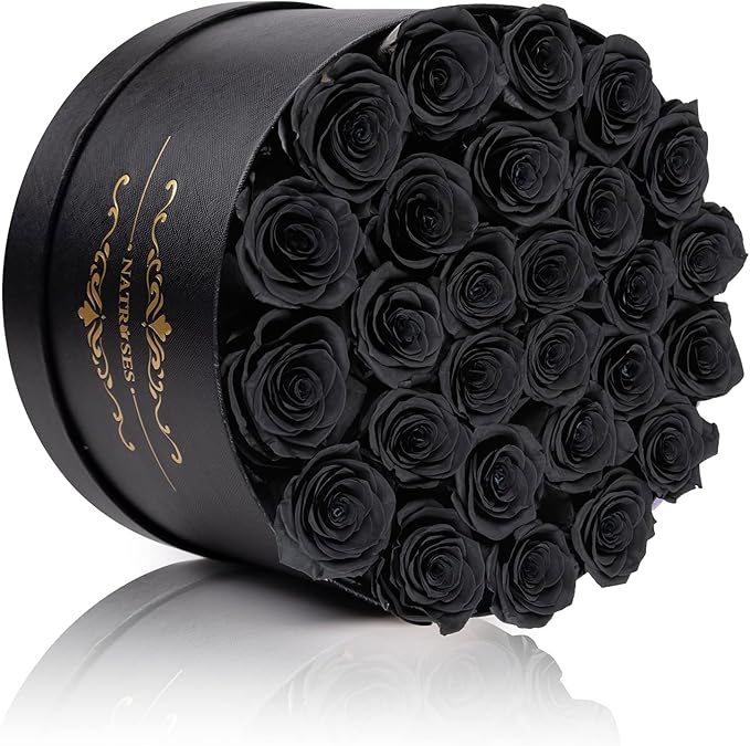 NATROSES 27 Piece Forever Preserved Roses in a Box, Preserved Flowers for Delivery Birthday, Flowers Gifts for Mothers Day, Black