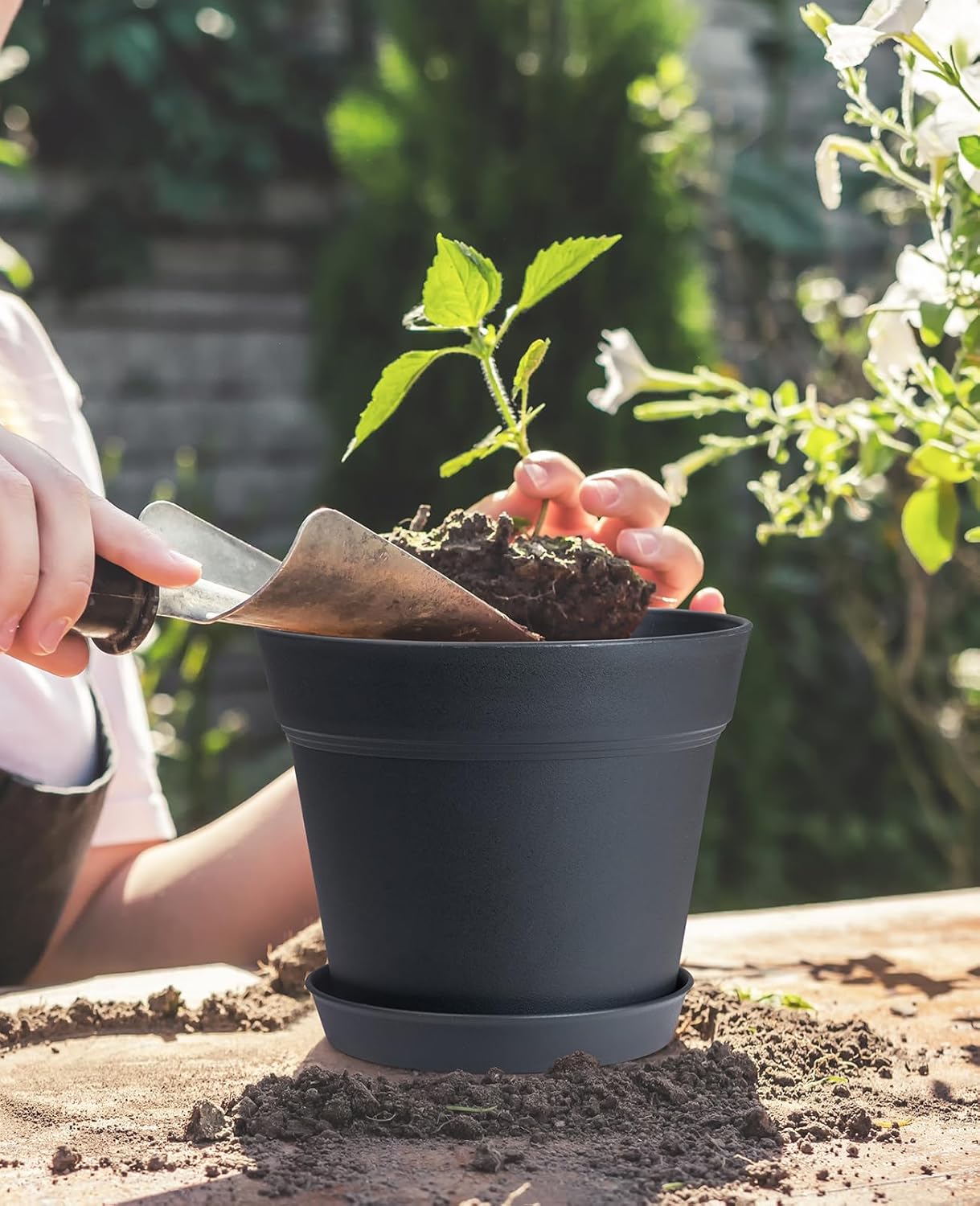 homenote Plant Pots,6/7.5 Inch Flower Pots for Plants Plastic Planters for Indoor with Multiple Drainage Holes and Trays, for All Home Garden Flowers Succulents,Outdoor(Black,10 Pack)