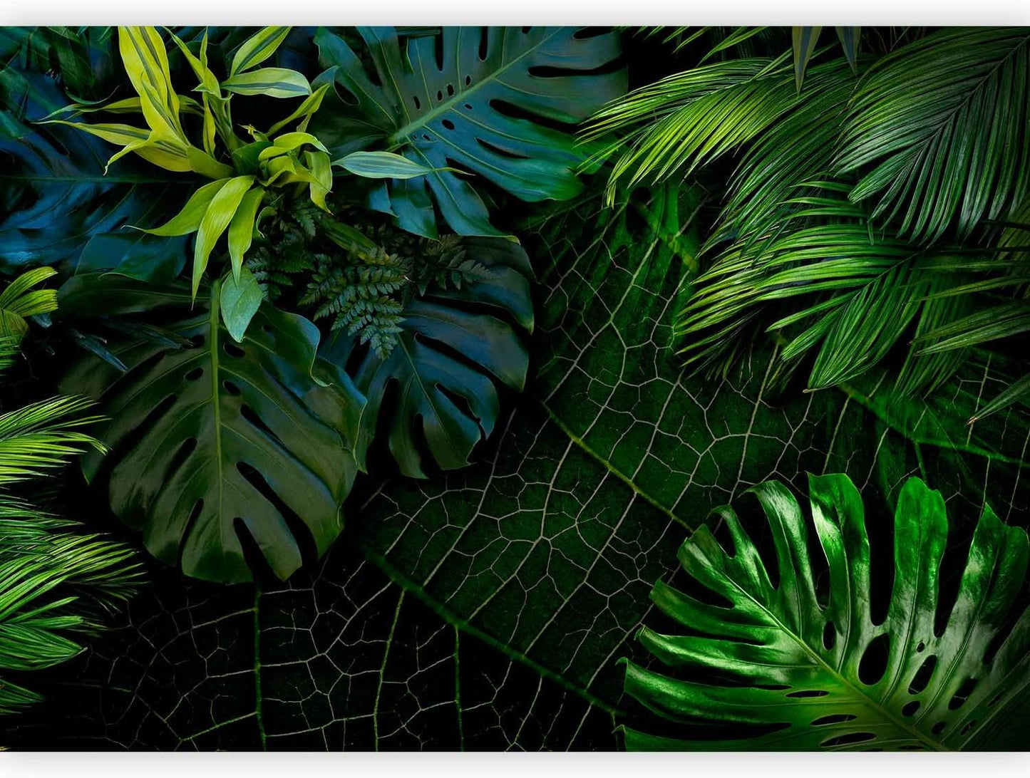 artgeist Premium Wall Mural Tropical 79x55 in - XXL Non-Woven Wallpaper Fleece Wall Decor Photo Print Picture Image Design Home b-C-0224-a-a