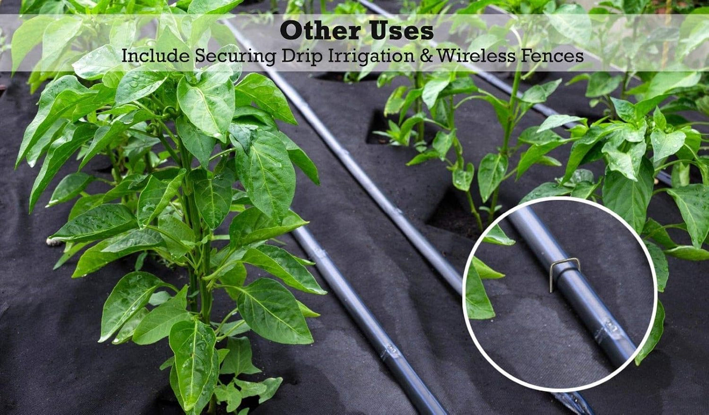 Sandbaggy 6 inch Landscape Sod Staples (9 Gauge Steel) ~ Great for Hard Soil - 20% Thicker Than Competition - Trusted by Farmers & Contractors Across USA (5000 Staples)