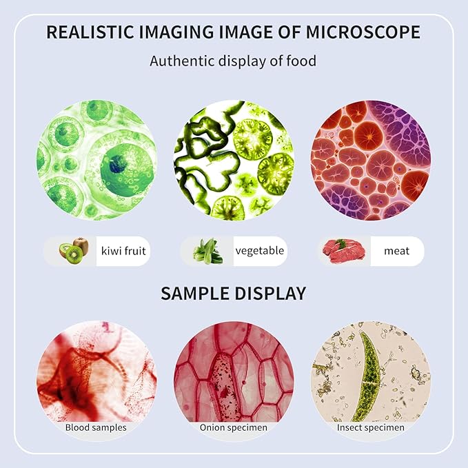 Trinocular Microscope 40x-2000x Magnification Double-Layer Stage with LED Lights on top and Bottom, Thick and Thin Dual Focusing knobs, Professional Biological Microscope (WiFi Electronic Eyepiece)