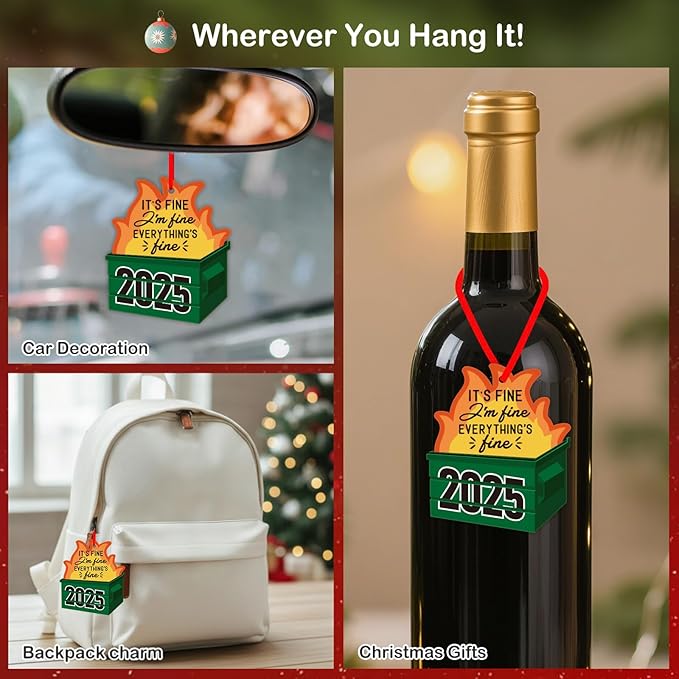 PETCEE Dumpster Fire Funny Christmas Ornaments 2025 - Hilarious Funny Acrylic Christmas Decor Unique Inappropriate Gifts for Adults Family Friends Coworkers Novelty 2025 Christmas Ornaments