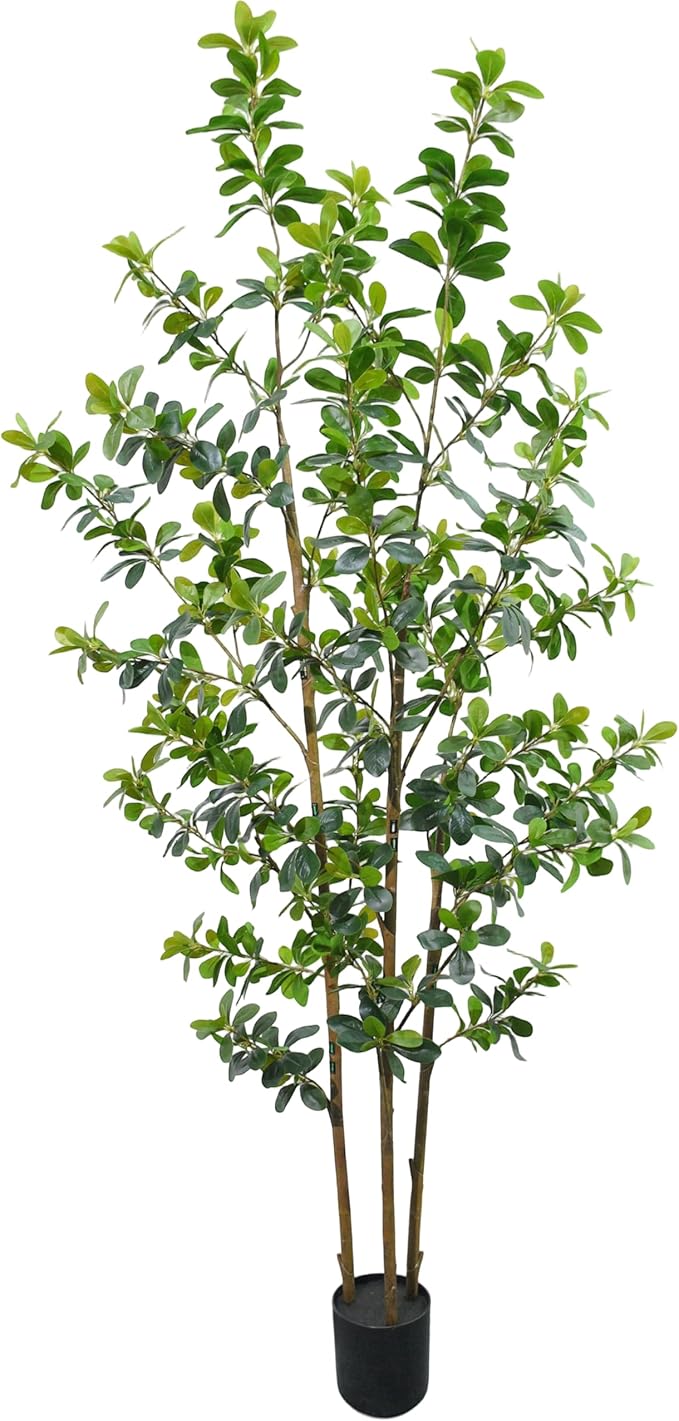 Premium 3 Main Trunks 6 ft Faux Black Olive Tree, Realistic Olive Trees Artificial Indoor, Low-Maintenance Fake Tree, Ideal Artificial Tree for Home Office Décor