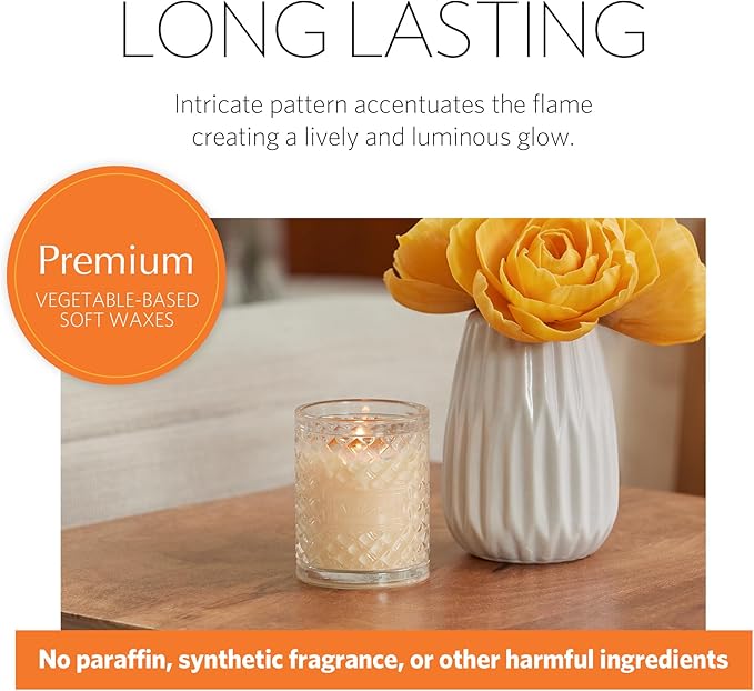 AGRARIA Scented Candles, 7 Oz, Long-Lasting Scented Candles for Home, Elegant Home Fragrance Gifts for Men and Women