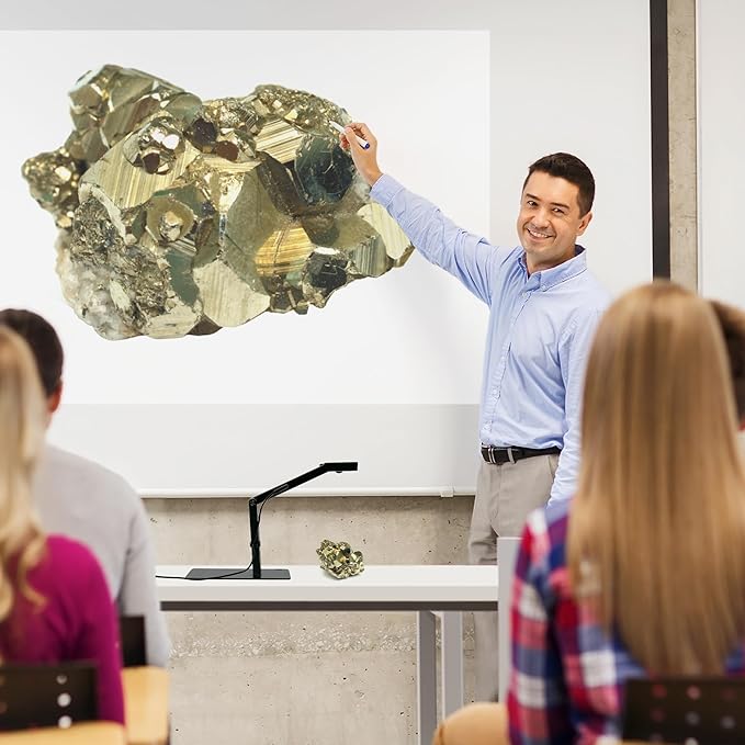 AMBIR Flexicam USB Document Camera-4K Video, FC204-AC, Internal Microphone & Light. Compatible with ChromeBook, MacOS and Windows. in-Classroom and Remote Teaching, Web Meetings and Creator Videos