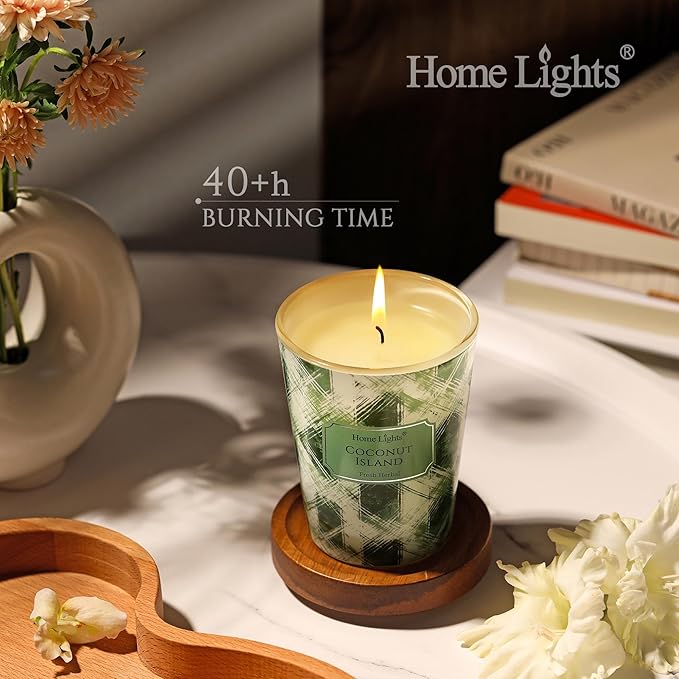 HomeLights 1-Wick Candles for Home Scented - 6.7oz Soy Wax Blend Candle Long-Lasting Fragrance, Scandinavian Minimalist Design Home Decor and Housewarming Gifts, Coconut Island