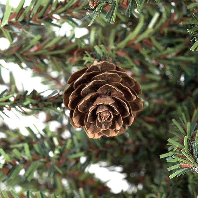 Vickerman 6" Caramel Pine Artificial Christmas Tree Unlit, Seasonal Indoor Tabletop Home Decor with Decorative Wood Base