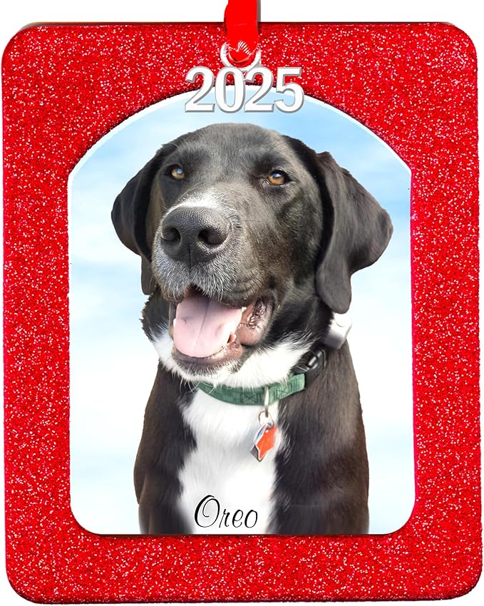 2025 Photo Ornaments for Christmas Tree, Sparkly Glitter Christmas Frame Ornament, Easy-Load Magnetic Design, Includes Satin Ribbon, Silver Charm & Photo Protector, Vertical, Red