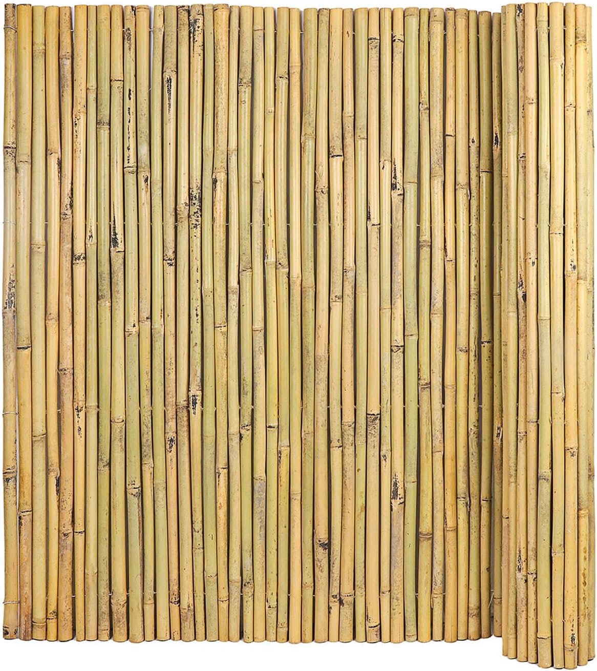 Natural Bamboo Fence, 6 feet x 8 feet Bamboo Fencing Screen for Garden, Rolled Privacy Fence Screen for Indoor or Outdoor (1.8m x 2.4m Approx)