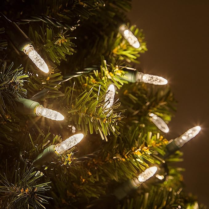 70 Warm White M5 LED Christmas Lights, 24 ft Green Wire Indoor/Outdoor Commercial Grade Mini String, Holiday and Outdoor Lighting