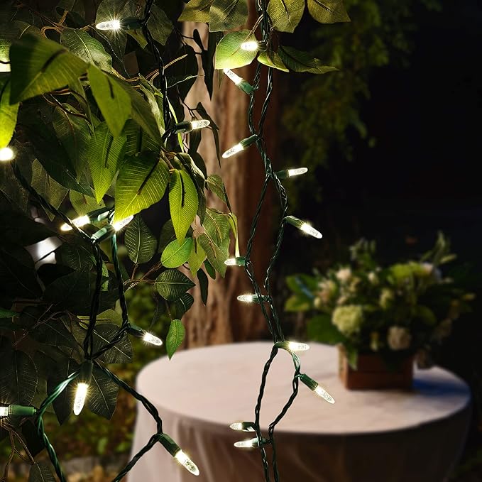 70 Warm White M5 LED Christmas Lights, 24 ft Green Wire Indoor/Outdoor Commercial Grade Mini String, Holiday and Outdoor Lighting
