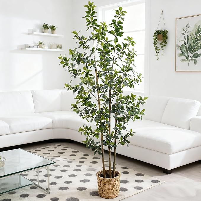 Premium 3 Main Trunks 6 ft Faux Black Olive Tree, Realistic Olive Trees Artificial Indoor, Low-Maintenance Fake Tree, Ideal Artificial Tree for Home Office Décor