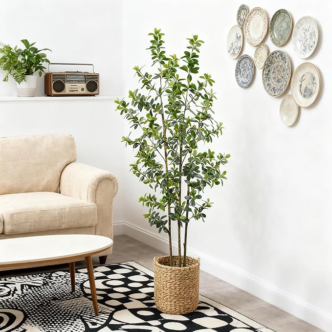 Premium 3 Main Trunks 6 ft Faux Black Olive Tree, Realistic Olive Trees Artificial Indoor, Low-Maintenance Fake Tree, Ideal Artificial Tree for Home Office Décor