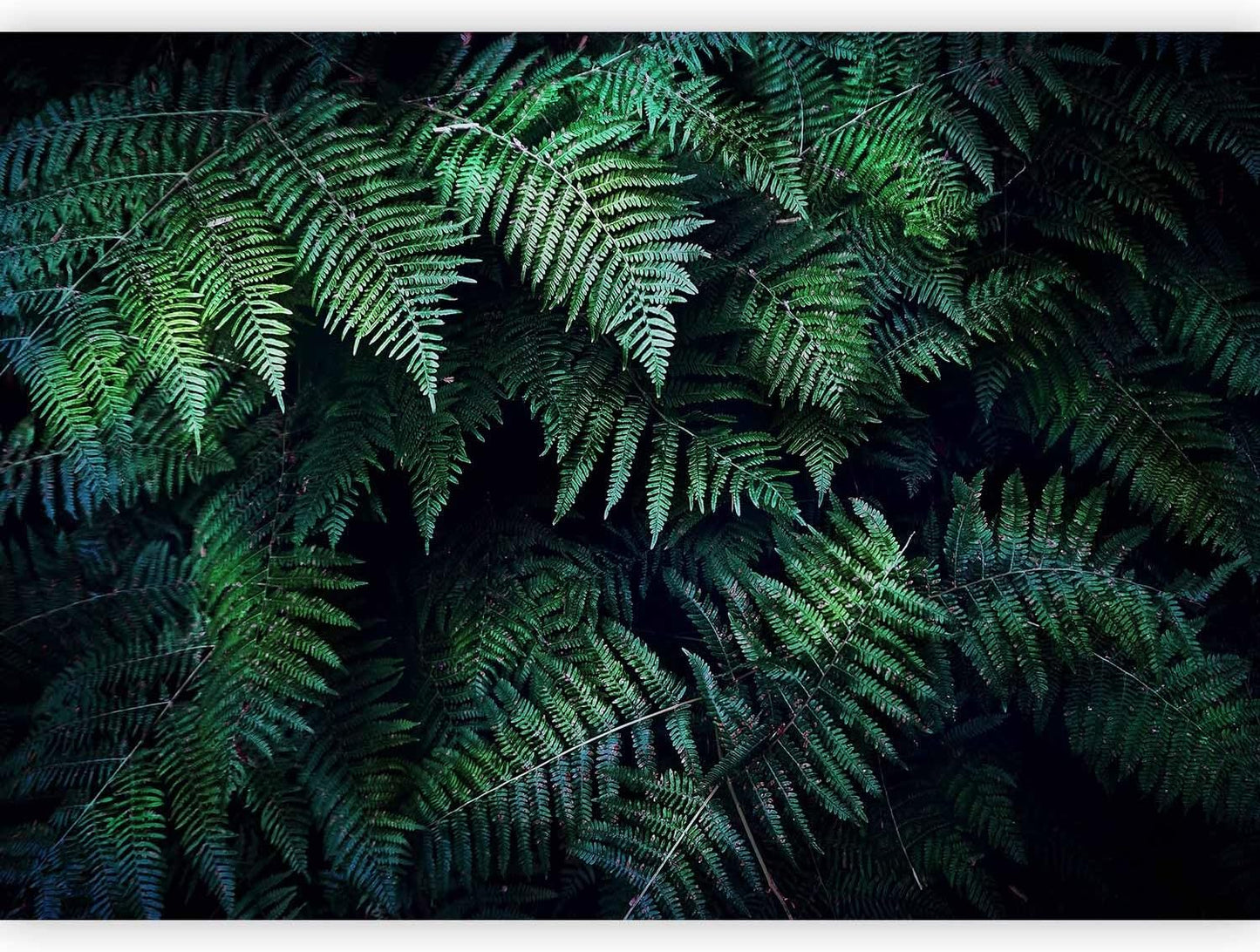 artgeist Wall Mural 3D Effect 157x110 in - XXL Non-Woven Wallpaper Fleece Wall Decor Photo Print Picture Image Design Home Tropical Leaves b-C-0564-a-a