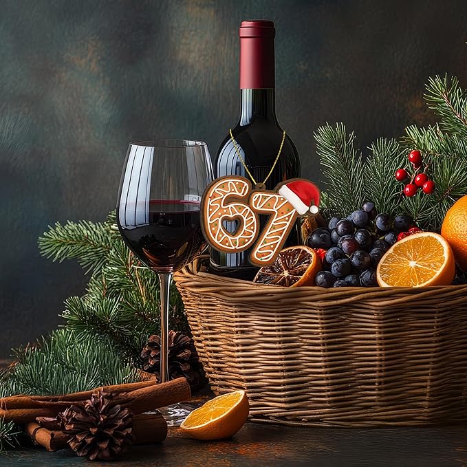 67 Christmas Ornament, 67 Ornaments for Xmas Tree, Funny Christmas Ornaments 2025, 6 7 Meme Ornament for Teens, Six Seven Gifts, Gag Gifts for Teens, Teen Girls Trendy Stuff (Gingerbread 67)