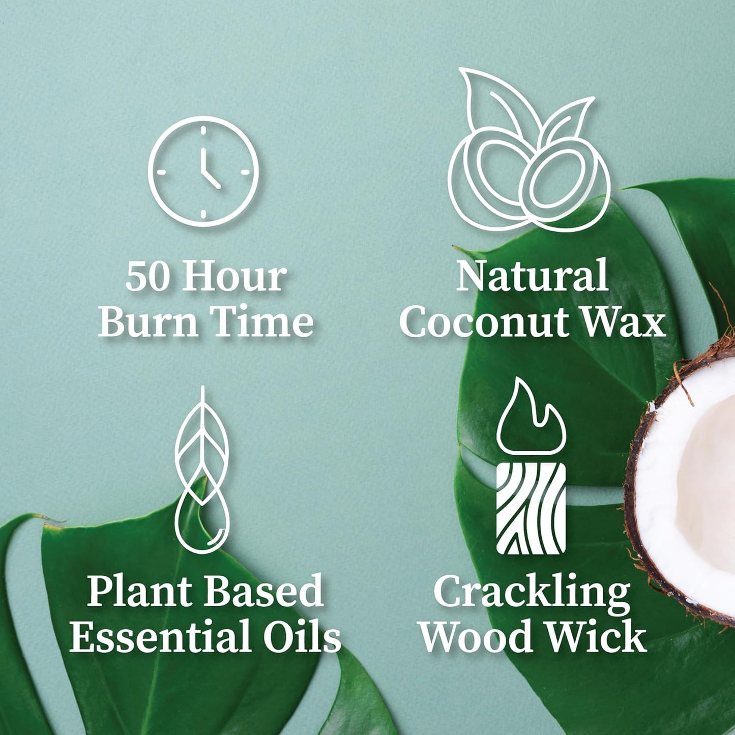 Hemlock Park Wood Wick Candle Handcrafted with Natural Coconut Wax and Essential Oils (Amber & Gold 7.2 oz, Eucalyptus Mint)