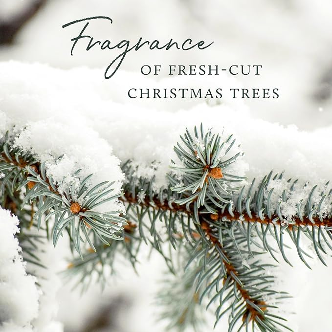 Thymes Frasier Fir Pine Needle Candle – Holiday Candles for Home Scented with Notes of Crisp Siberian Fir, Cedarwood & Sandalwood – Christmas Decor – Christmas Gifts for Women & Men (6.5 oz)