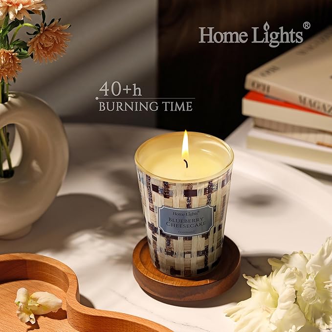HomeLights Scented Candles for Women & Men, 6.7oz Candle Jars Aromatherapy Single Wick Candle, Ideal for Rustic Modern Home Decor and Gifts, Blueberry Cheesecake