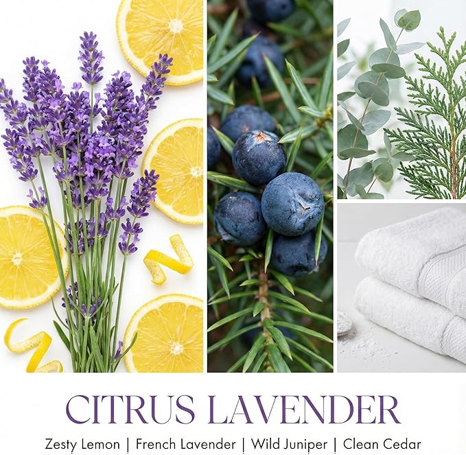 HomeLights Citrus Lavender Scented Candles | 34oz Soy Candles Scandinavian Minimalist Design 3-Wick Large Candle Jars | Ideal Candle Gifts for Events, Home Decor Stress, Relief & Relaxation