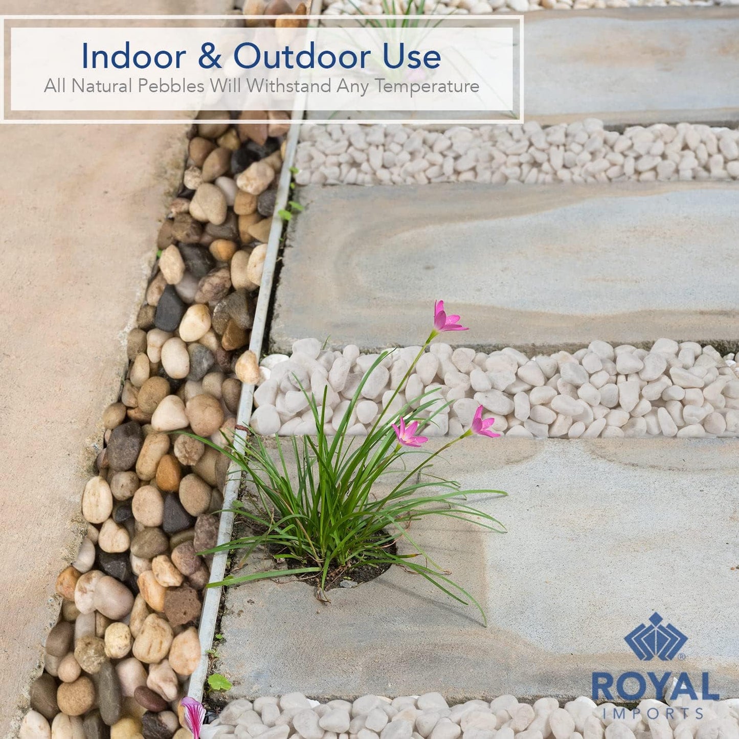 Royal Imports 30LBS River Rocks Decorative Ornamental Pebbles, Garden Landscaping Stones, Gravel Filler for Plants, Vases, Succulents, Home Decor, Aquariums, Crafting, Animal Habitat - Small White