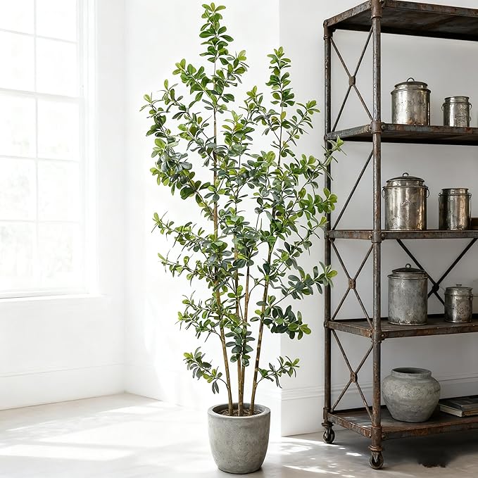Premium 4 Main Trunks 7 ft Faux Black Olive Tree, Realistic Olive Trees Artificial Indoor, Low-Maintenance Fake Tree, Ideal Artificial Tree for Home Office Décor (Greens, 7 ft)