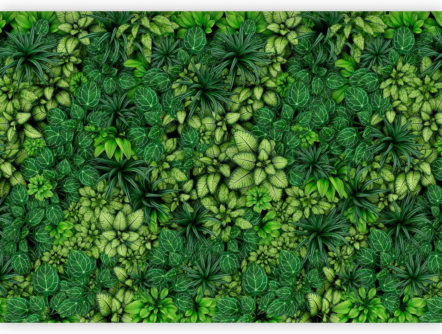 artgeist Wall Mural Plants 98x69 in - XXL Non-Woven Wallpaper Fleece Wall Decor Photo Print Picture Image Design Nature Botanics Tropical Leaves b-B-0601-a-a