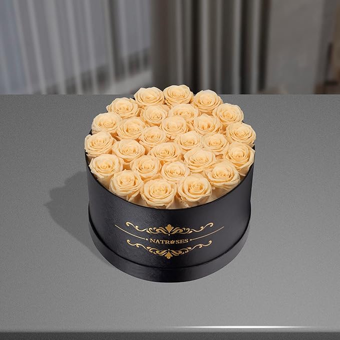 NATROSES 27 Piece Forever Preserved Roses in a Box, Preserved Flowers for Delivery Birthday, for Mom, Buttermilk