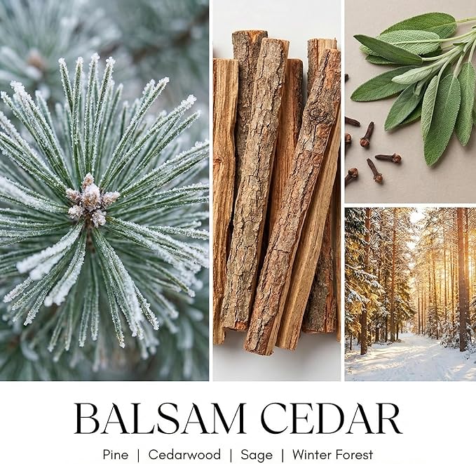 HomeLights Balsam Cedarwood Scented Candles | 6.7oz Soy Candles Industrial Chic Large Candle Jars | Ideal Candle Gifts for Events, Home Decor Stress, Relief & Relaxation