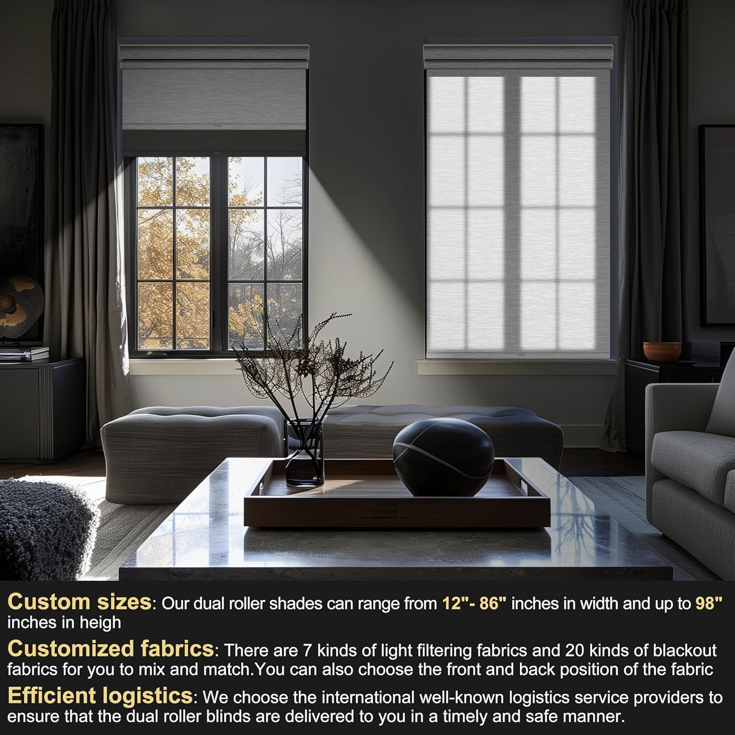 BERISSA Cordless Dual Roller Shades With Cassette Valance, Blackout and Light Filtering, Day and Night for Home Office Door - Grey and White, 62 W x 64" H
