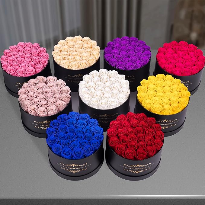 NATROSES 27 Piece Forever Preserved Roses in a Box, Preserved Flowers for Delivery Birthday, Flowers Roses Gifts for Her (White)