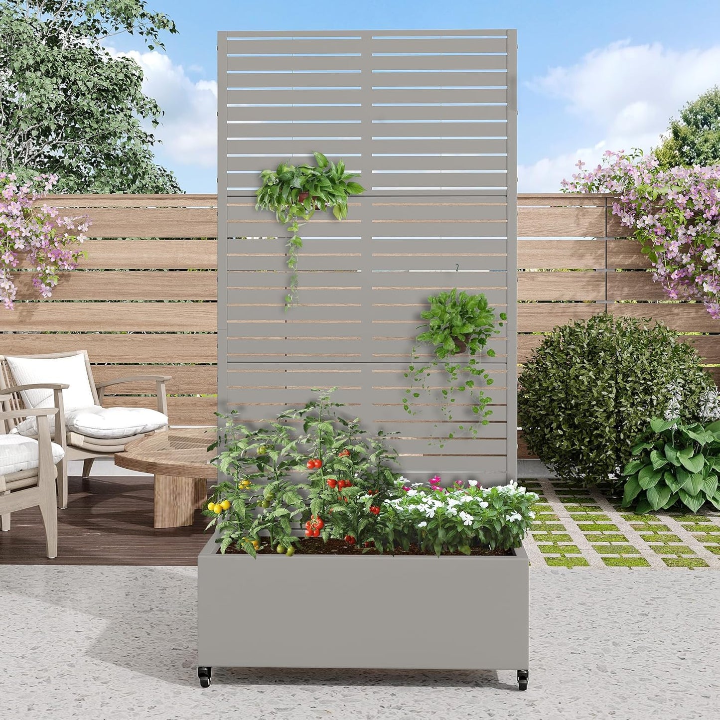Casaphoria Metal Raised Garden Bed with Trellis and Wheels, 72"x35"x16" Planter Box for Climbing Plants, Vegetables & Vines, Features Drainage Holes and Privacy Screen (Grey-Louvered)