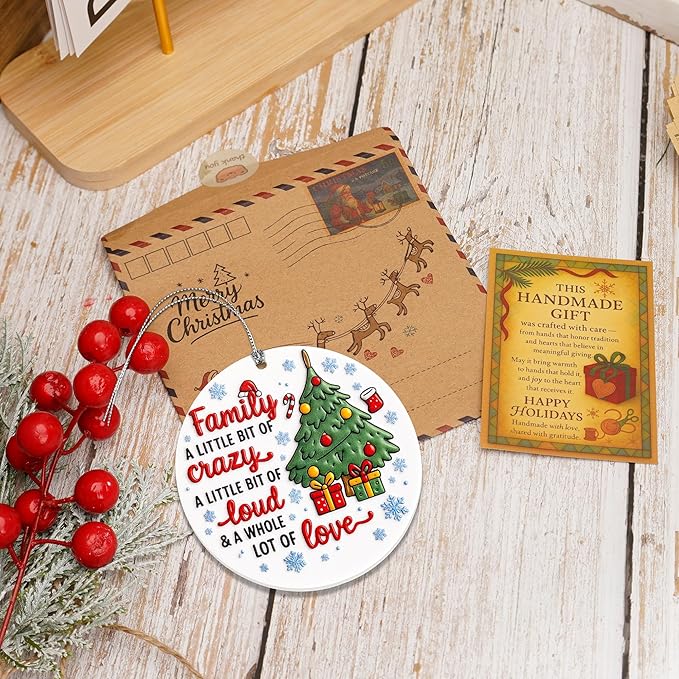 Funny Christmas Christmas Ornaments 2025 - Family Ornaments for Christmas Tree - Family Christmas Ornaments 2025 - Christmas Decoration
