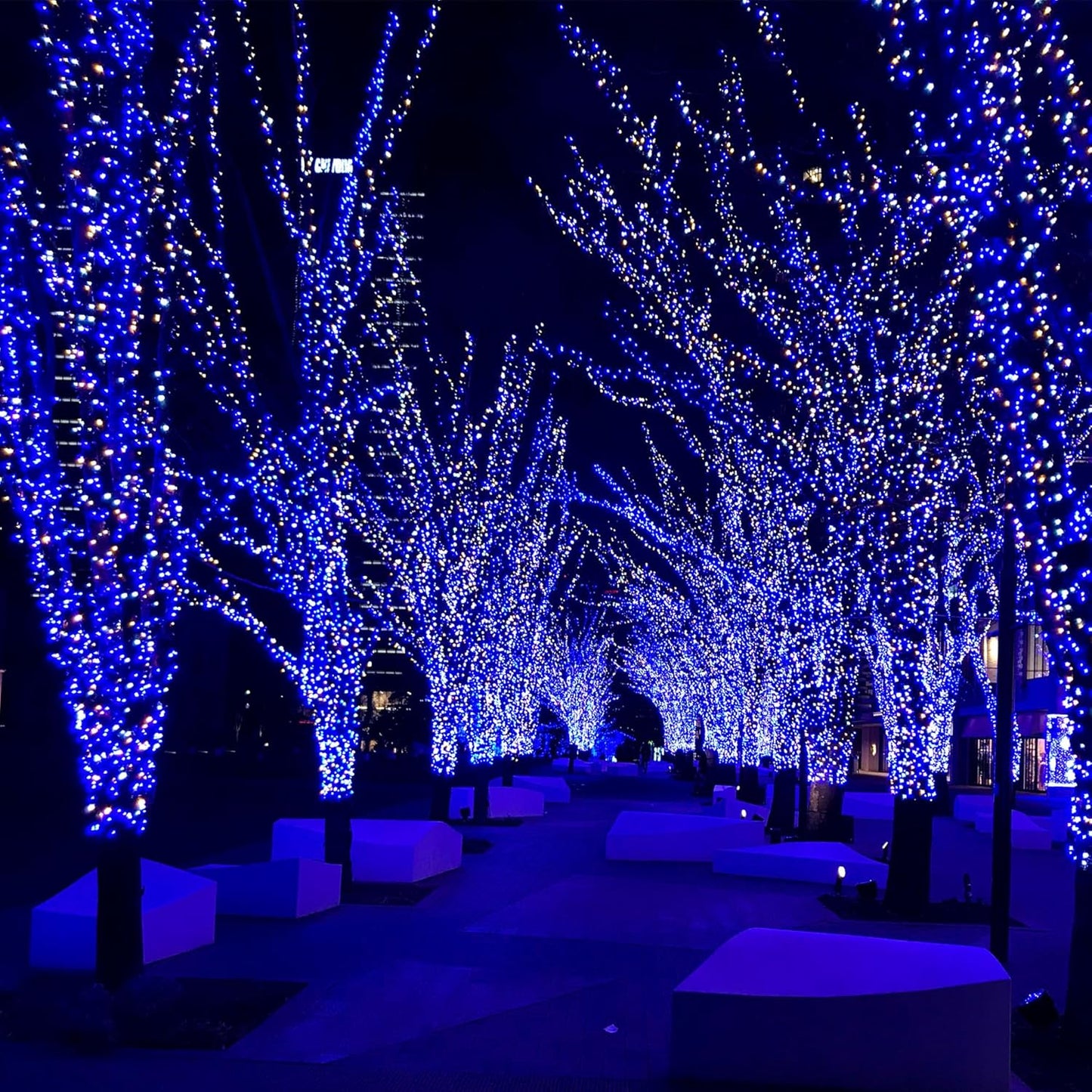 2-Pack 200 LED Solar Fairy Lights Outdoor, Upgraded Oversize Lamp Beads & Super Bright Solar String Lights Outoor, 8 Modes Solar Lights for Garden Patio Decorations（Blue&White）